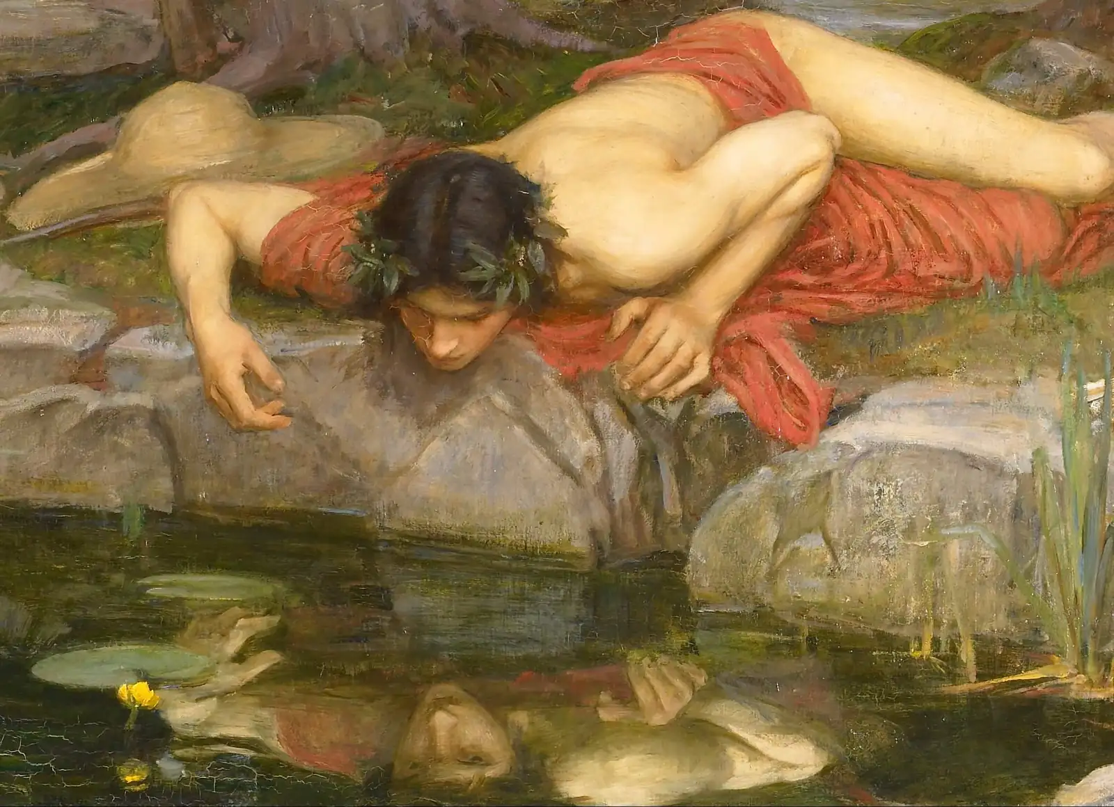narcissus by water reflection