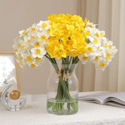 Chinese narcissus south window living room