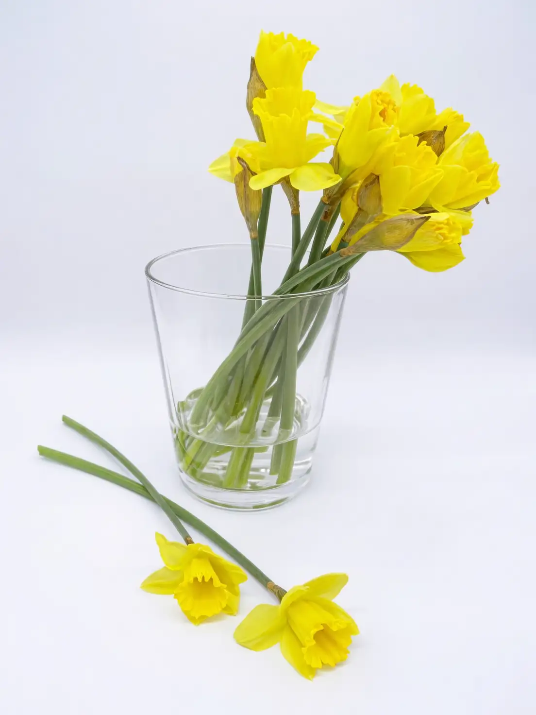 Chinese narcissus hydroponic glass bowl pebbles