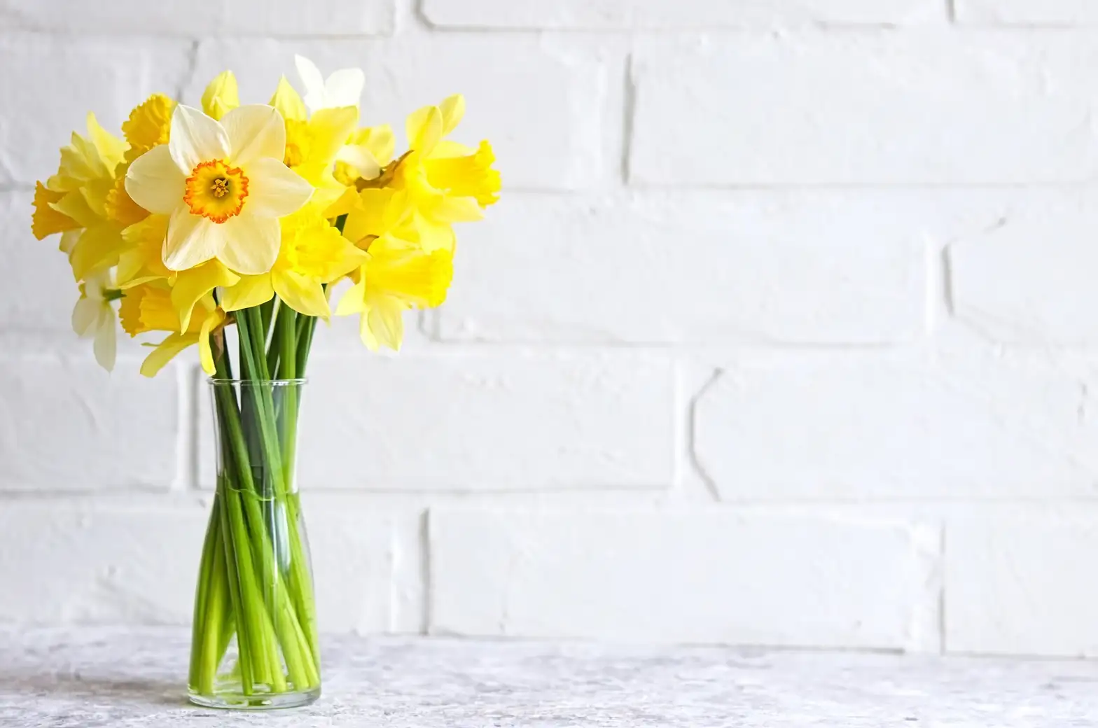 Chinese narcissus hyacinth separate containers