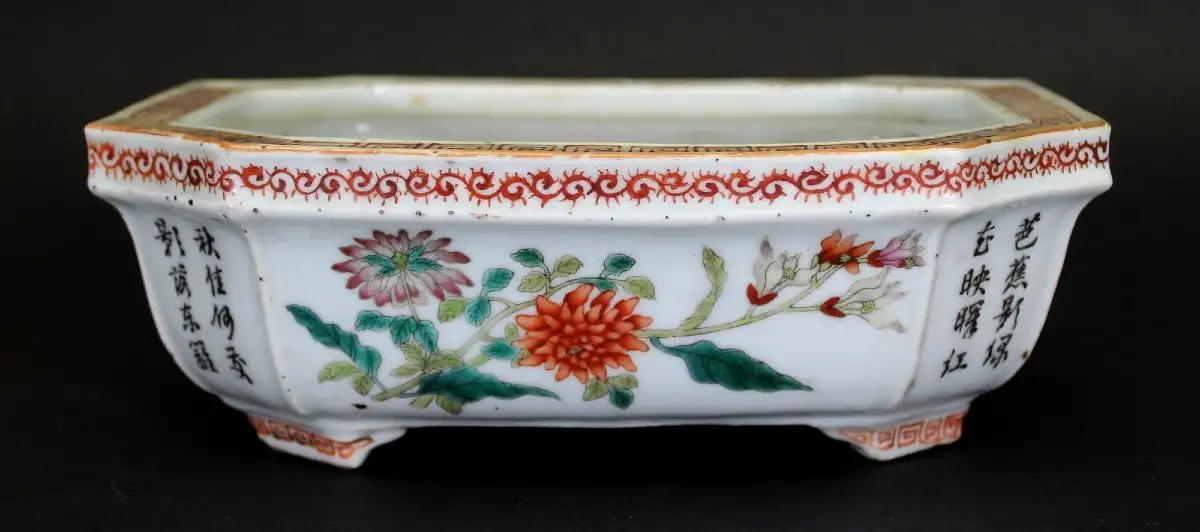 Chinese narcissus tulip balcony planter