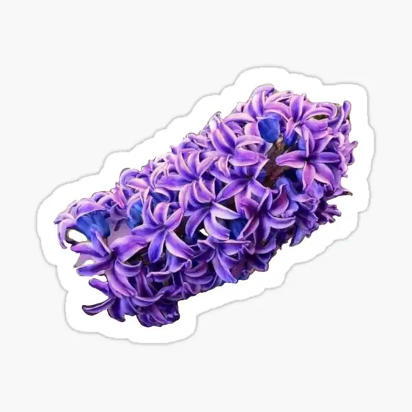 hyacinth purple bloom Greek statue