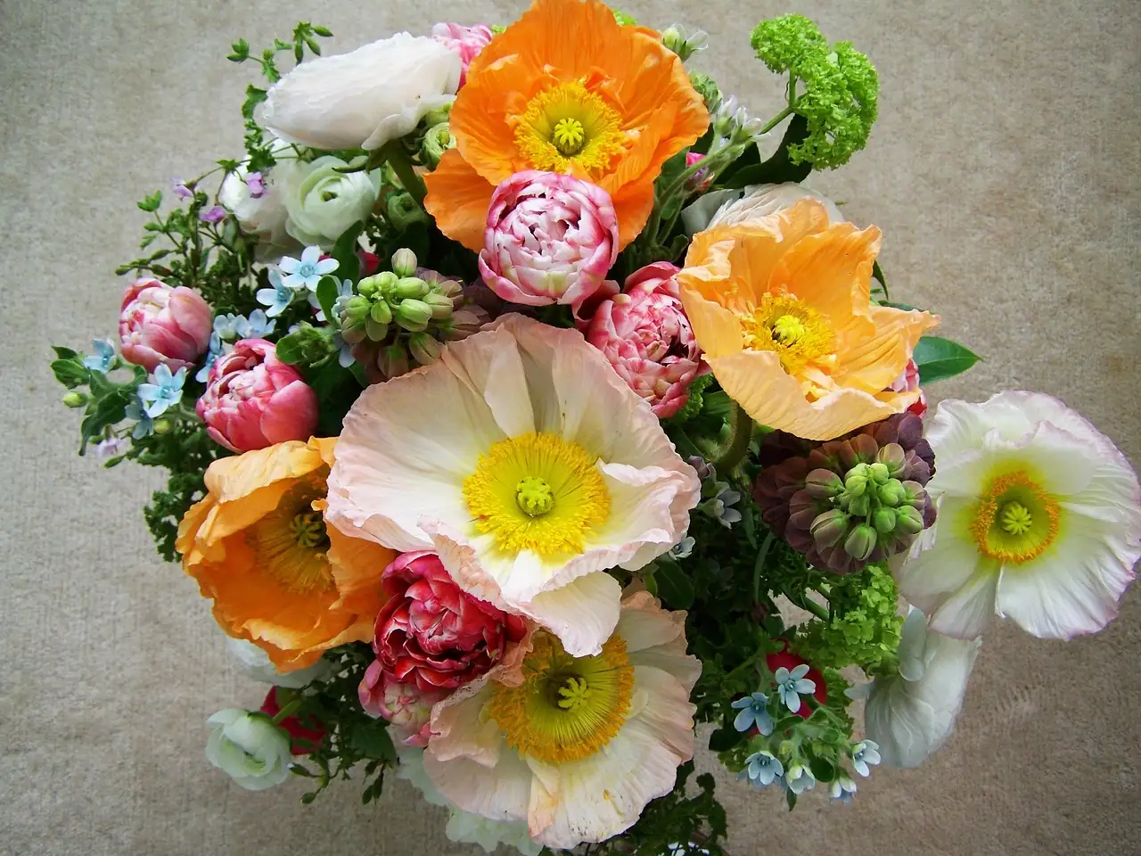 hyacinth mixed colors bouquet