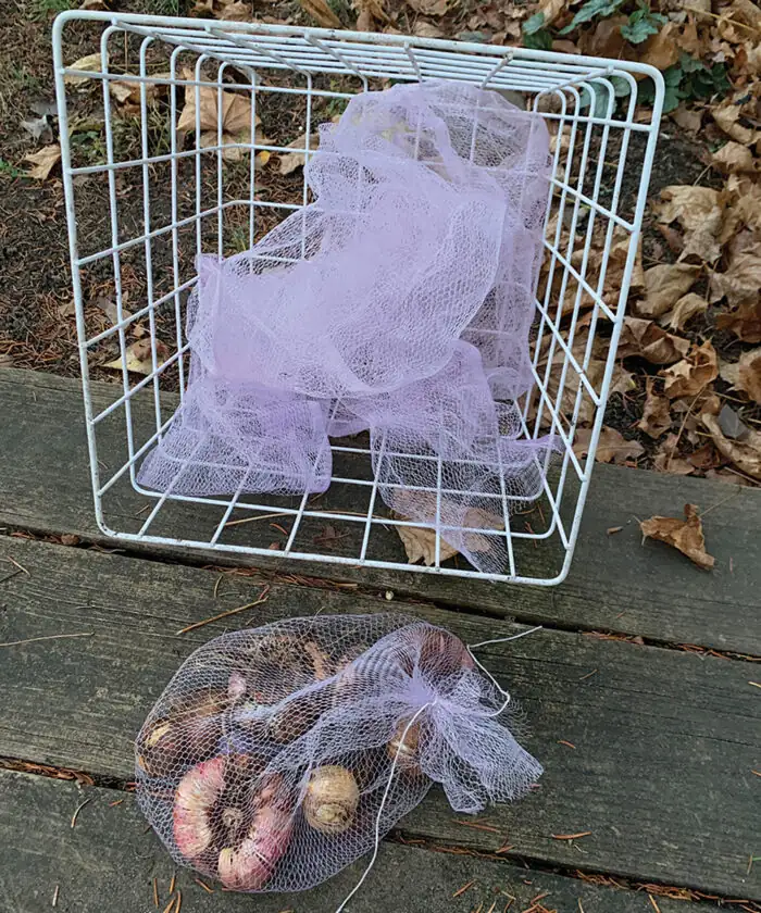 hyacinth bulbs storage mesh bag