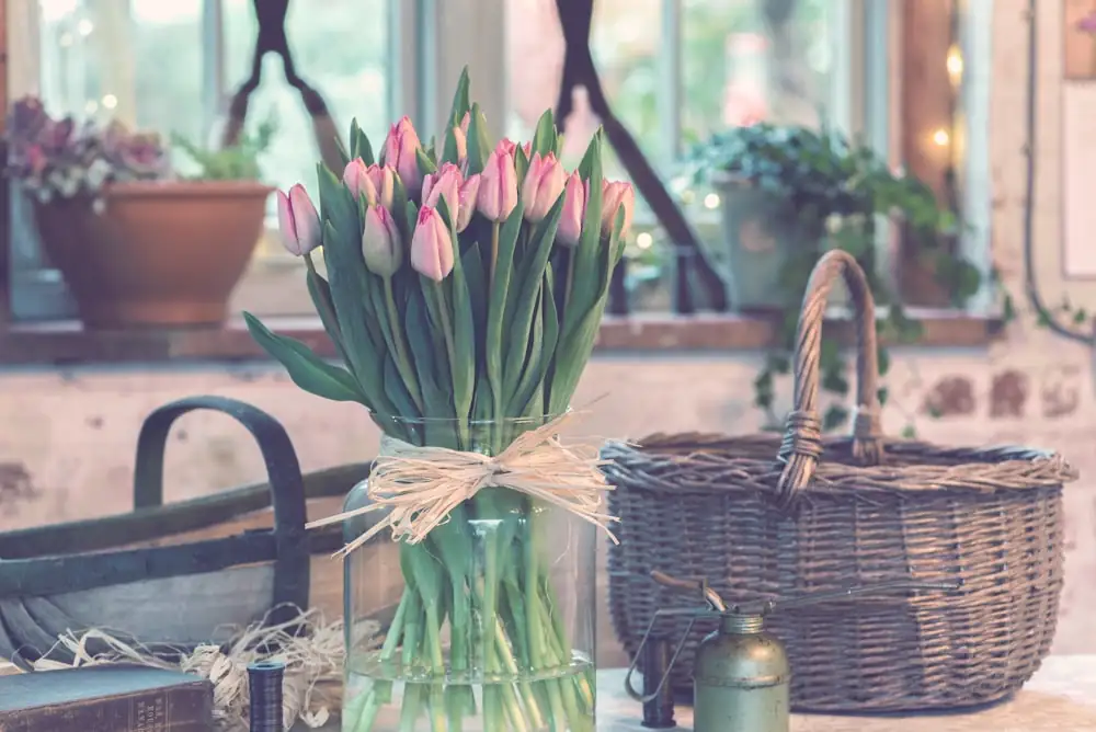 hyacinth bulb glass vase water level