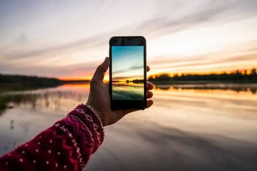 pansy smartphone photography backlight