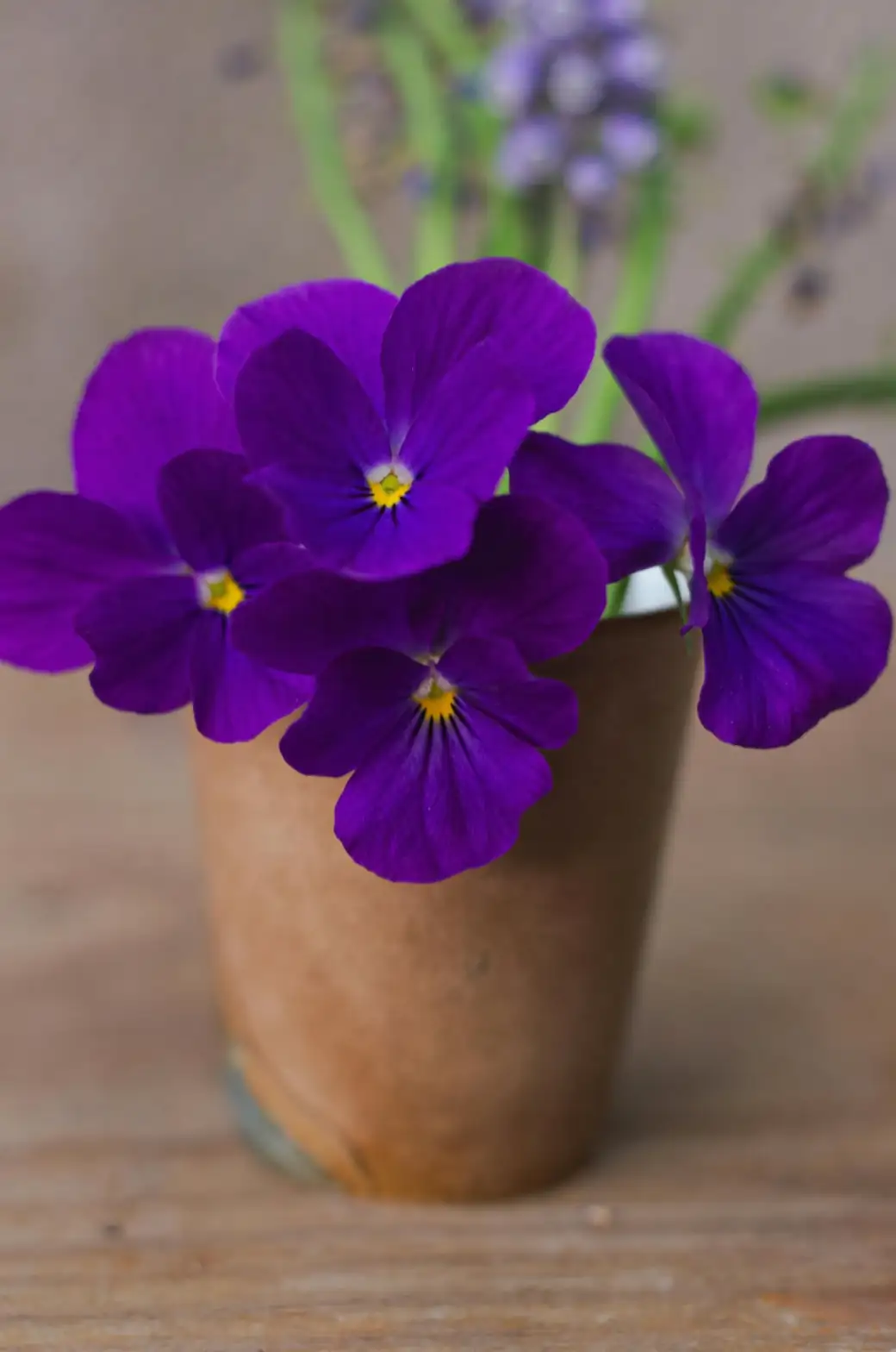 pansy Victorian bouquet
