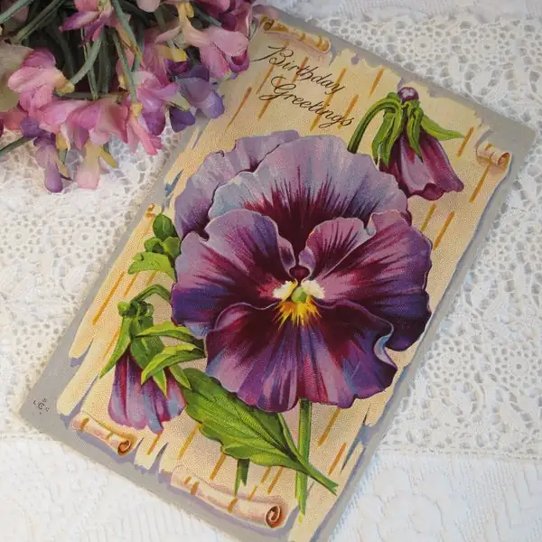 pansy purple white bouquet card