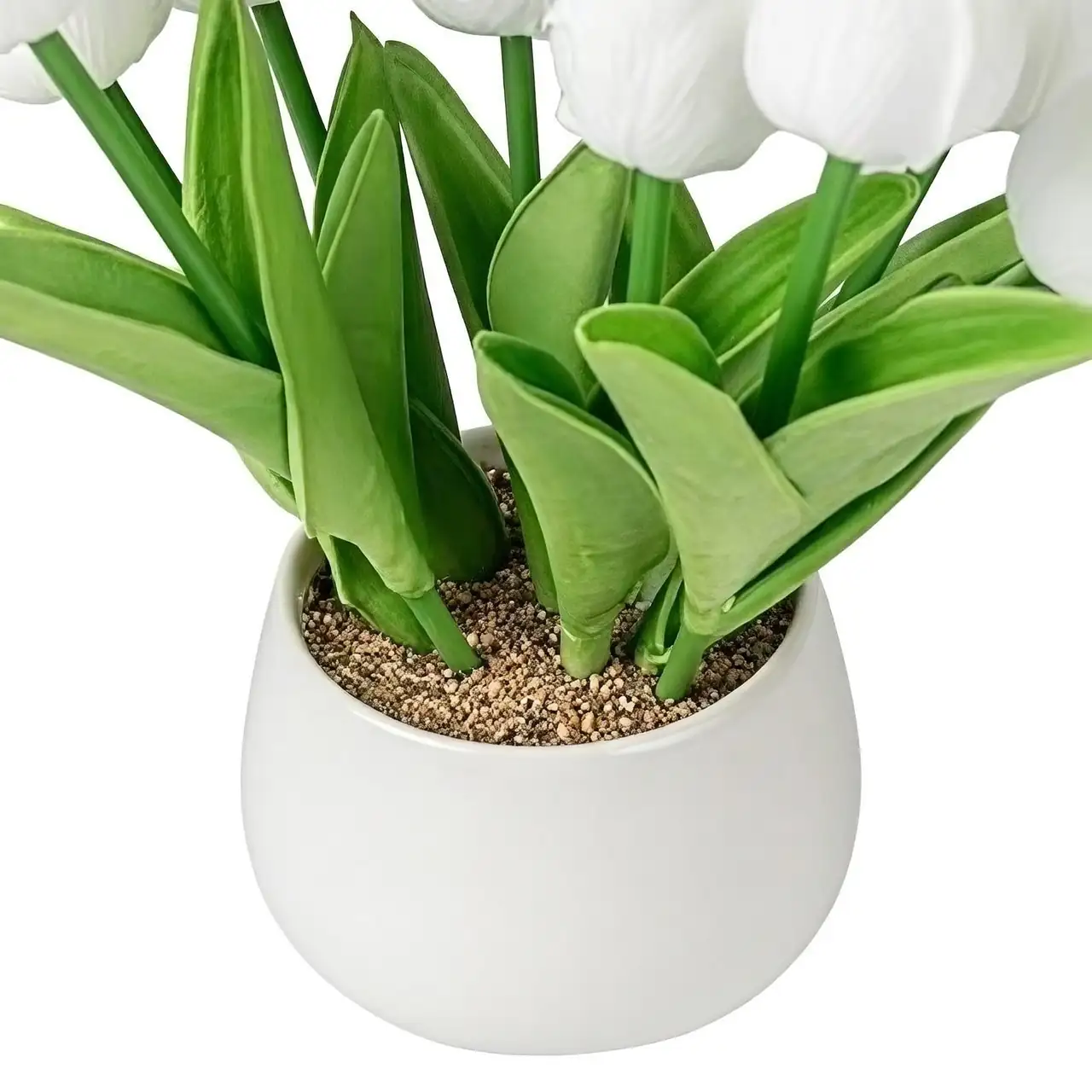 pansy tulip white planter