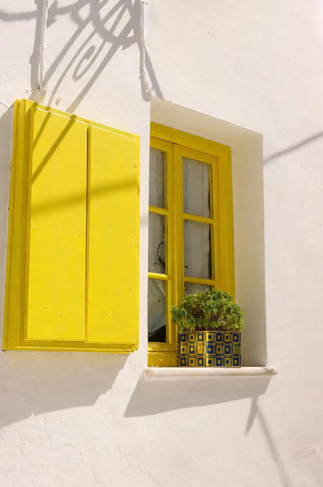 pansy yellow purple window box