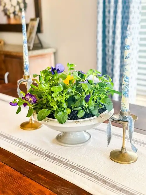 pansy table centerpiece indoor