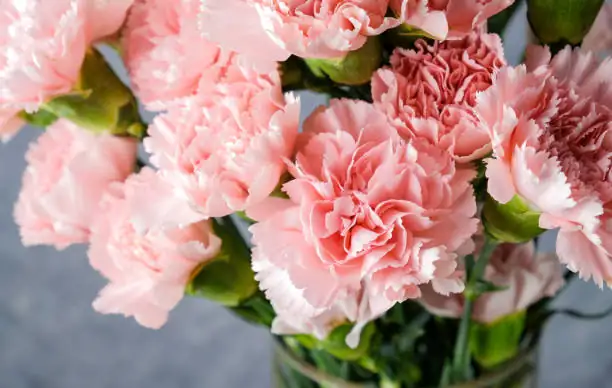 washing dianthus petals bowl