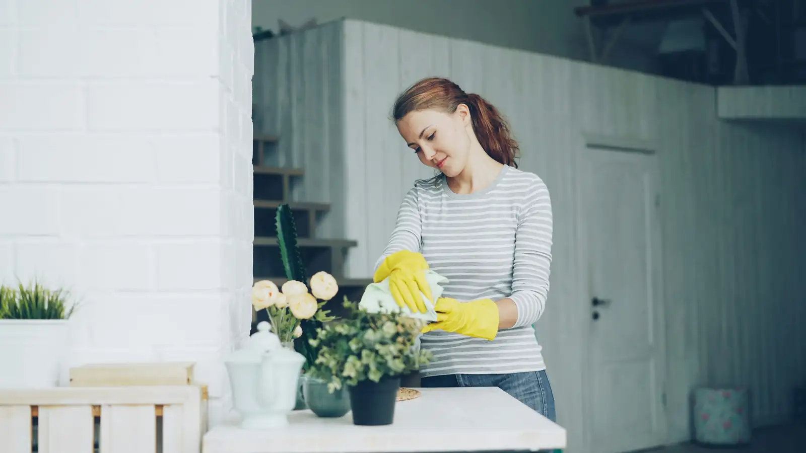 dieffenbachia pruning gloves indoor