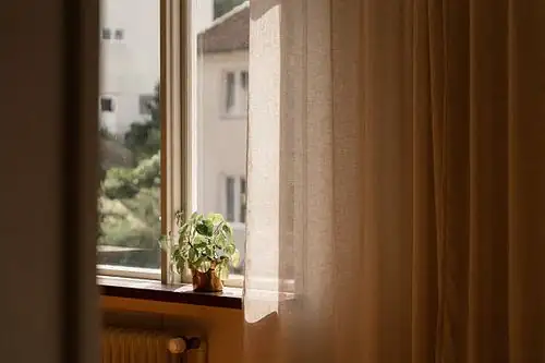 dieffenbachia bright window sheer curtain