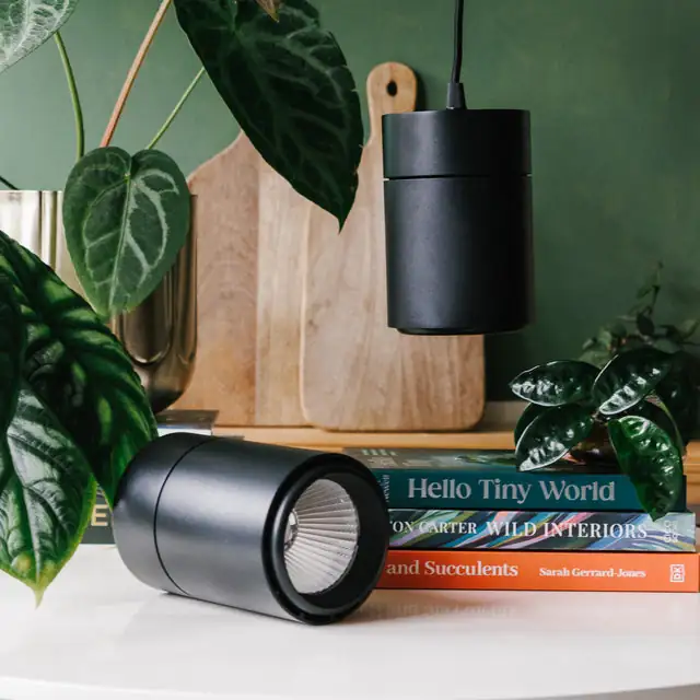 gloxinia LED rim light setup