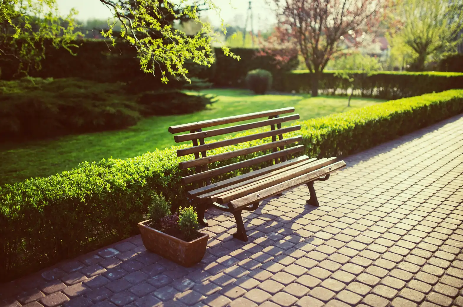 cornus officinalis small garden bench