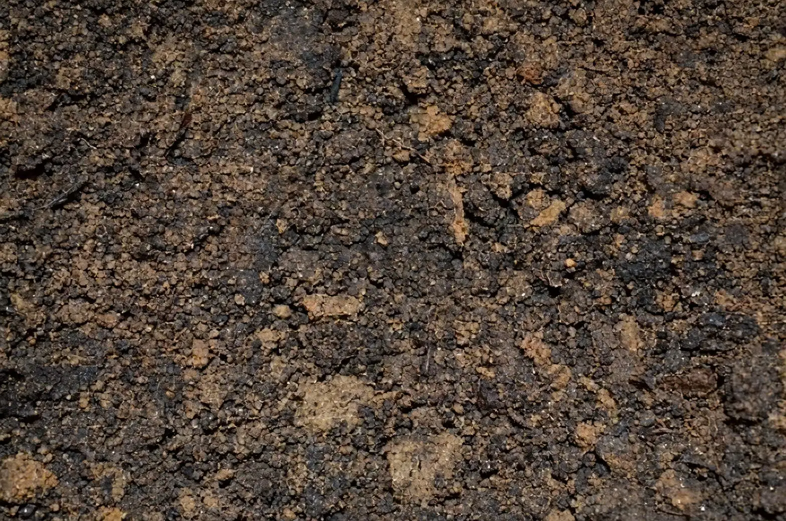 lupine potting mix peat sand perlite