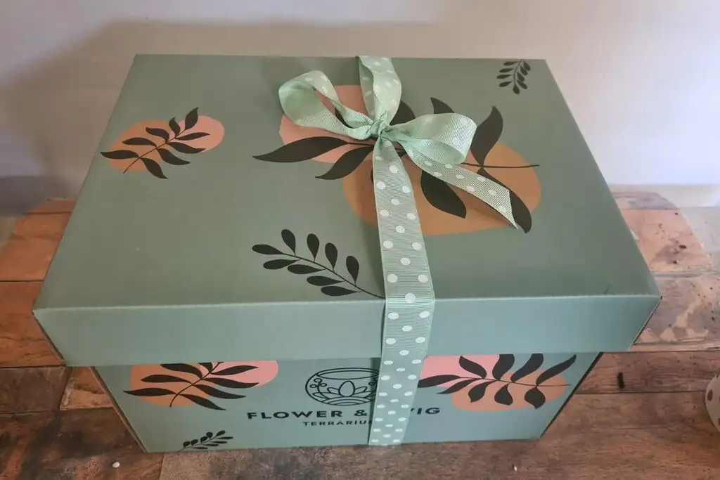 fittonia gift set stationery desk