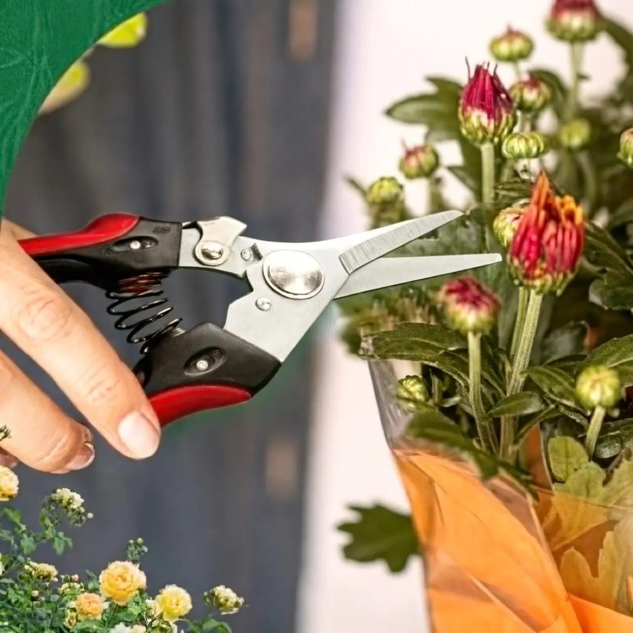 rieger begonia deadheading pruning shears
