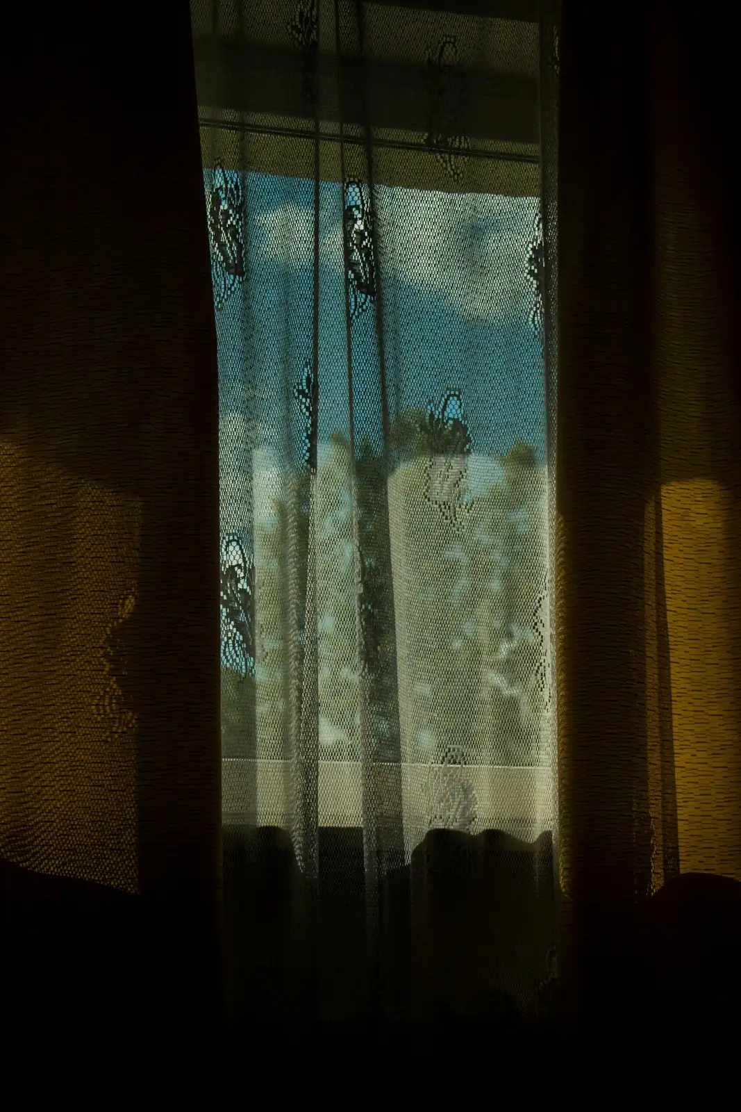 scented geranium sheer curtain window