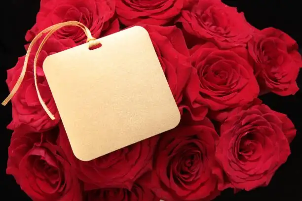 rose geranium gift with handwritten card
