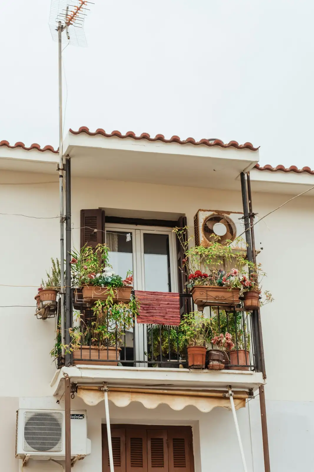 scented geranium rosemary balcony railing