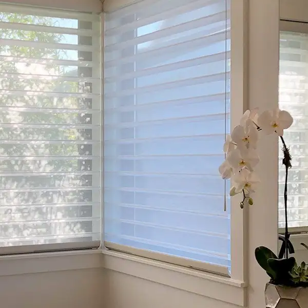 cymbidium bright window sheer curtain