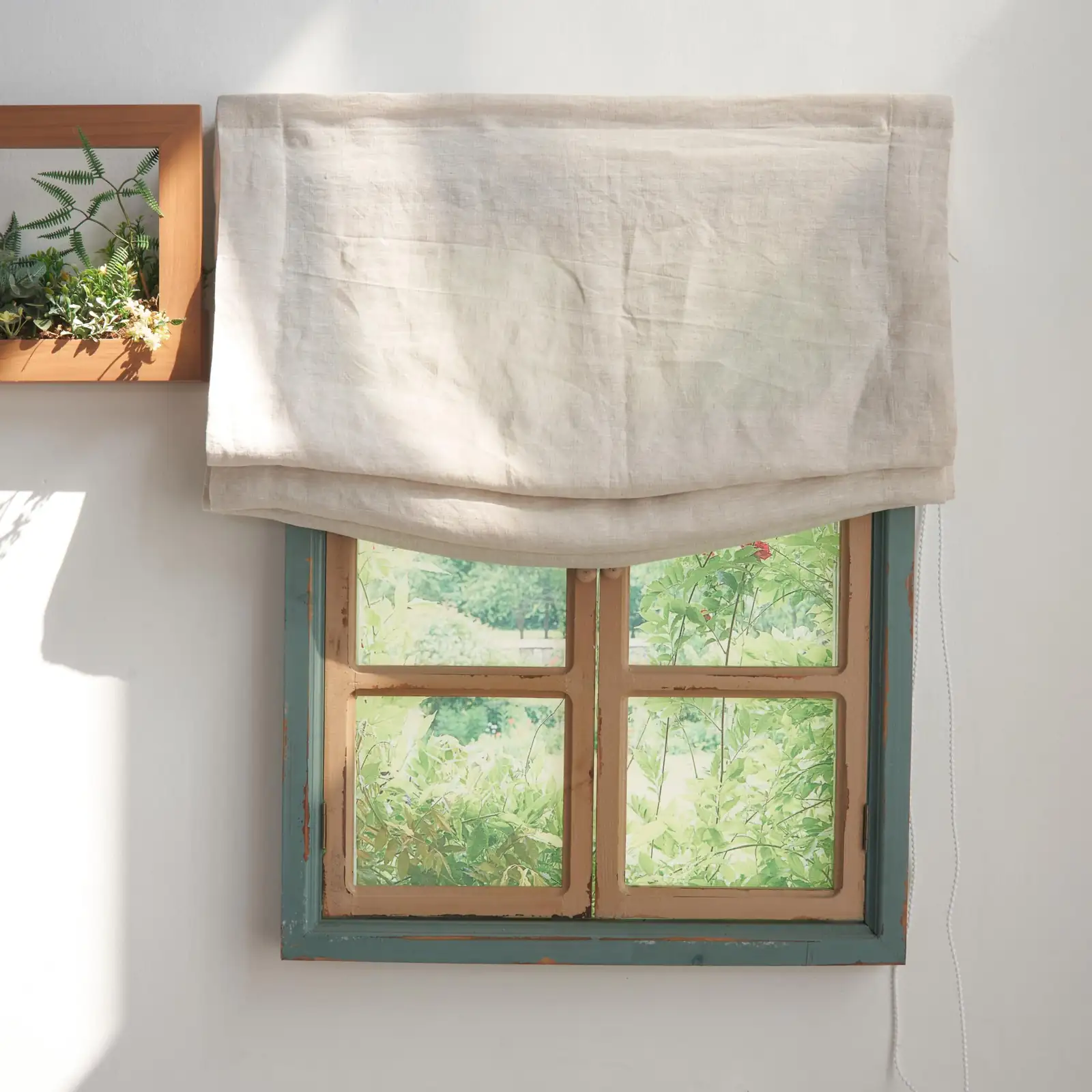 cymbidium window shade cloth curtain