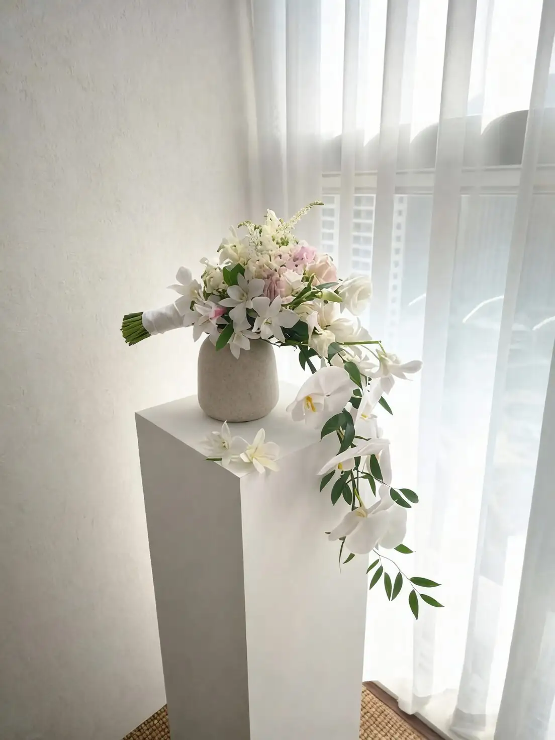 phalaenopsis cascading blooms close-up