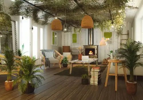 syngonium hanging basket living room