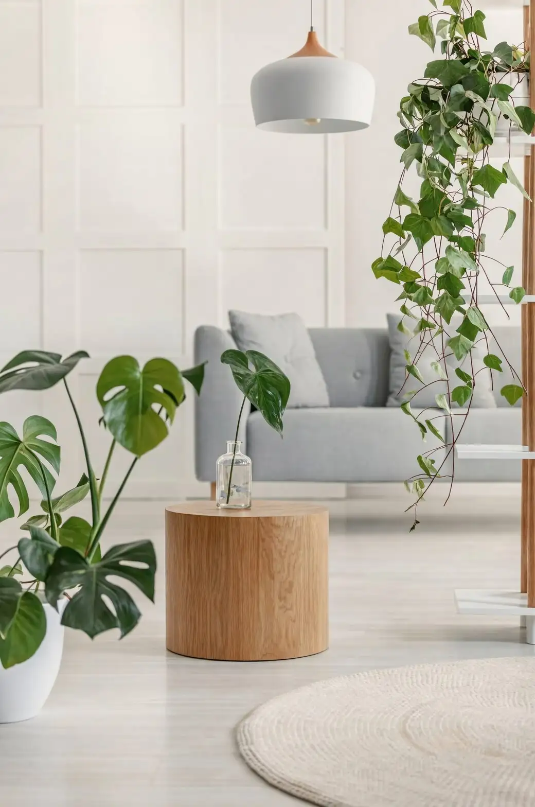 syngonium and monstera living room