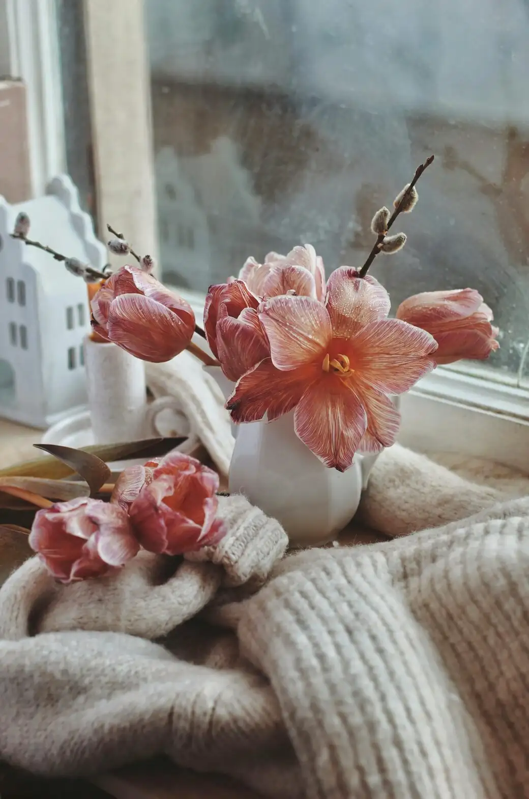 逛年宵花市必看：多花报春如何挑到花色正、花期久的“爆盆苗”？