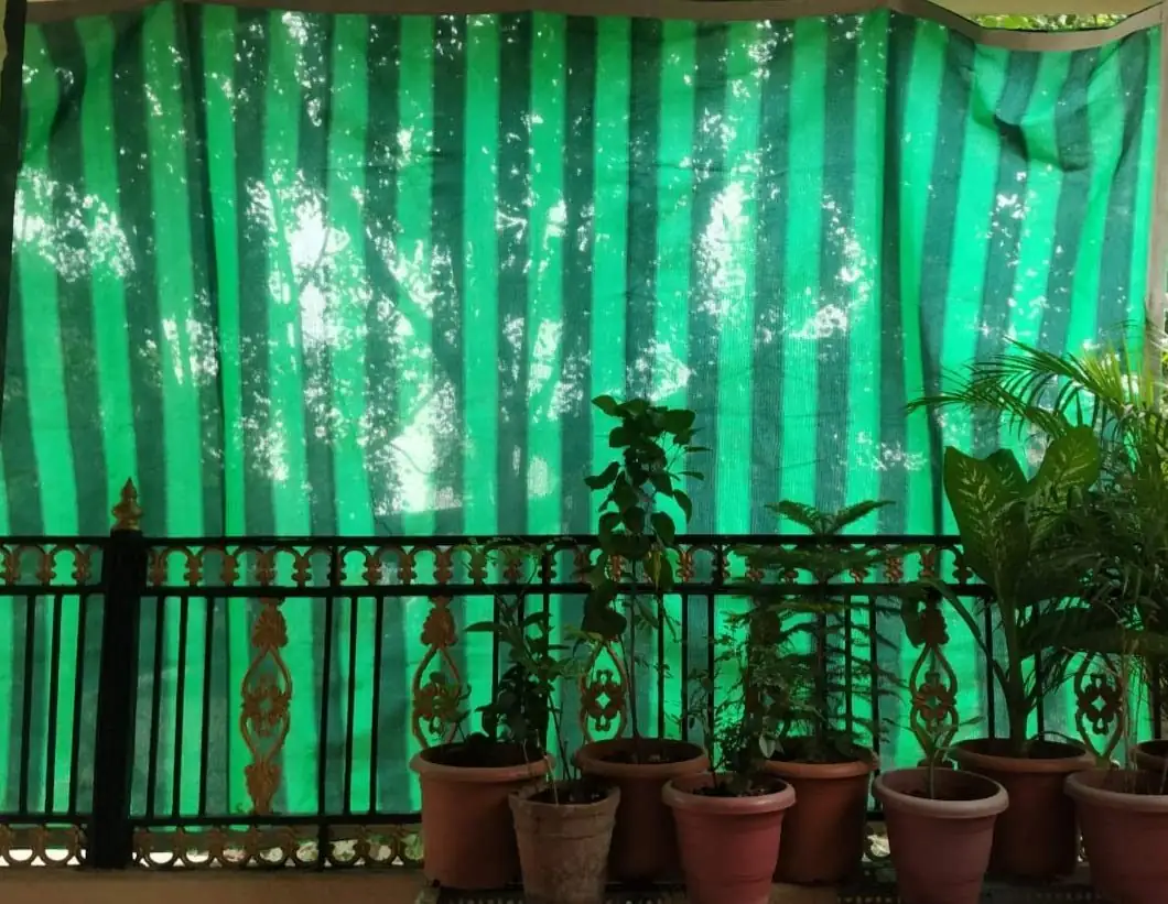 Persian buttercup balcony shade net