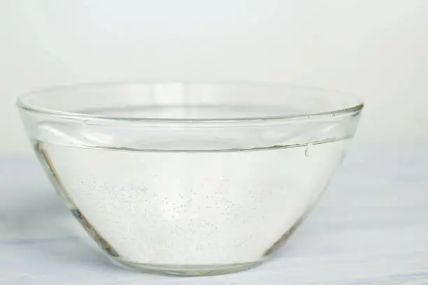 tillandsia soaking bowl water