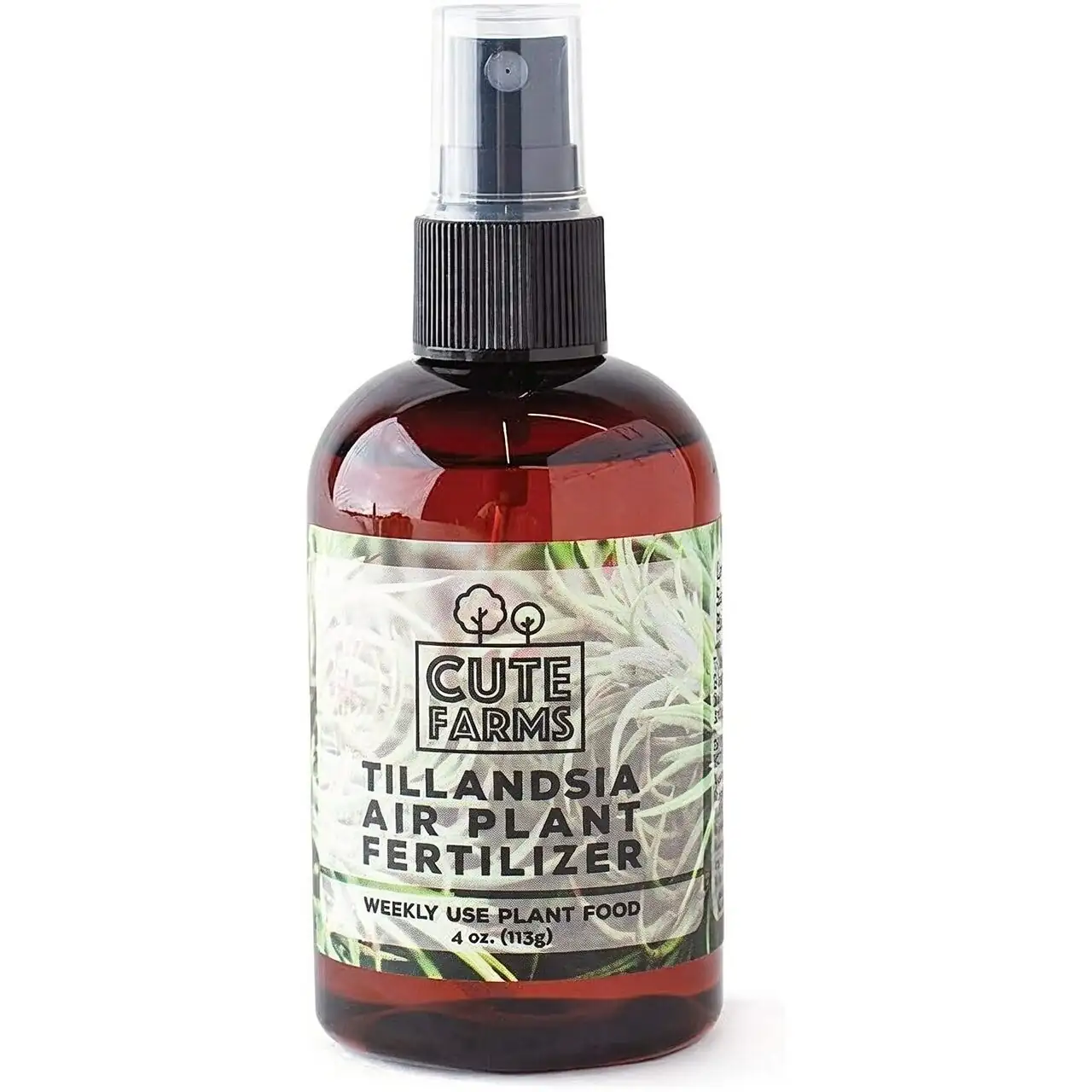tillandsia foliar spray bottle