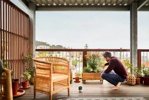 ornamental pepper watering can balcony