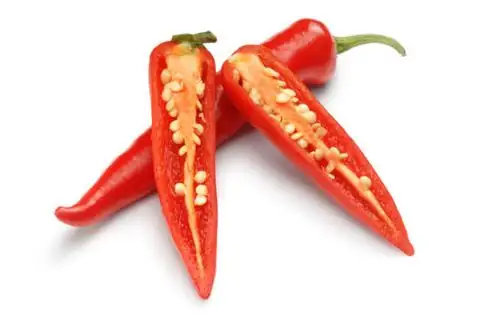 ornamental pepper cross section pith