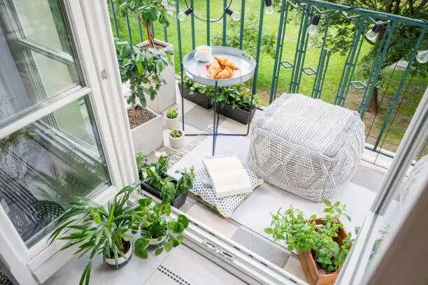 ornamental pepper balcony companion layout