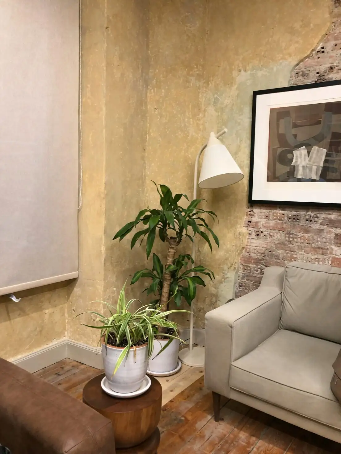 guzmania living room reading corner