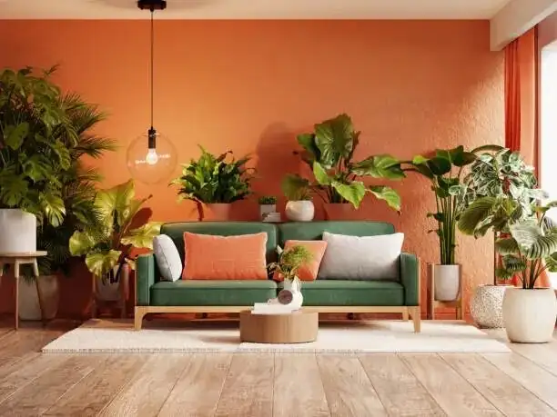 guzmania red bract living room