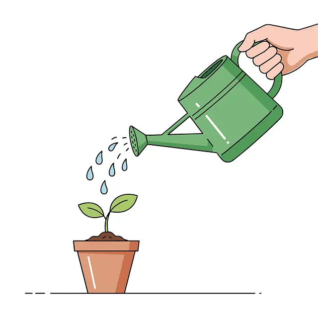 Chinese dunce cap watering can