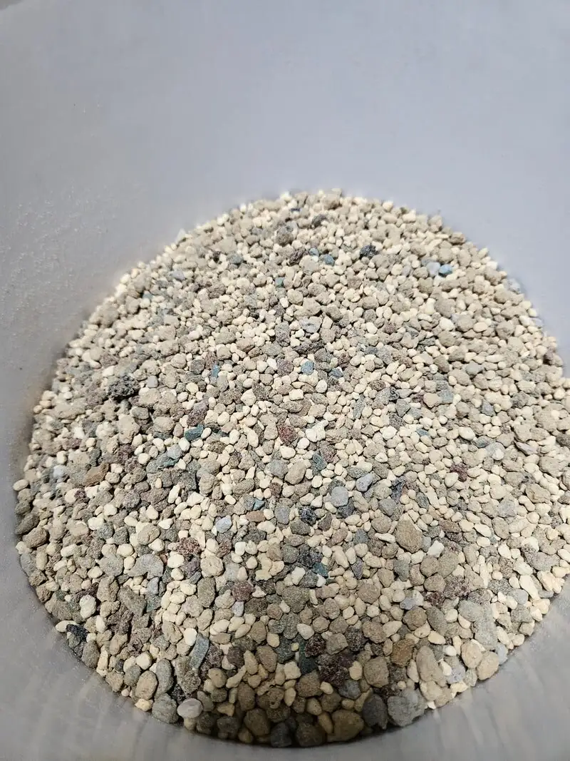 Orostachys furusei gritty mix 3-6mm