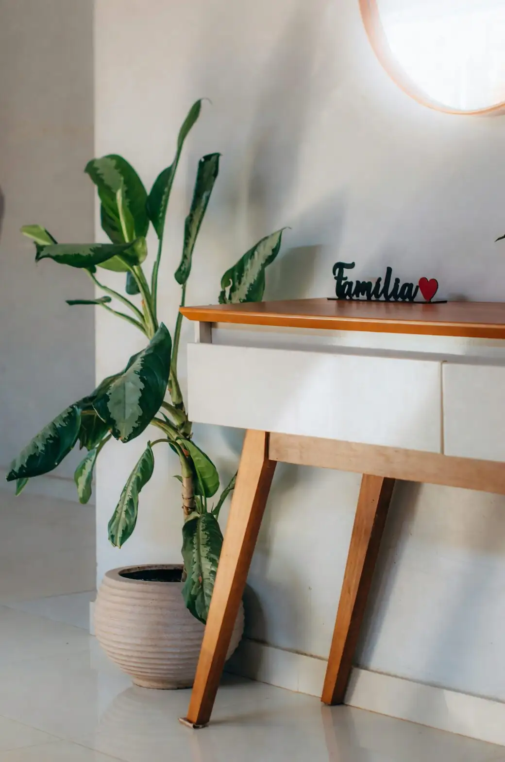 hydrocotyle pennywort entryway console table