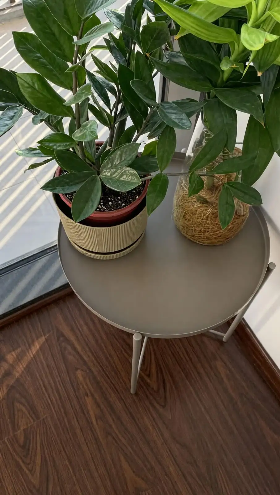 lucky bamboo lazy susan rotation