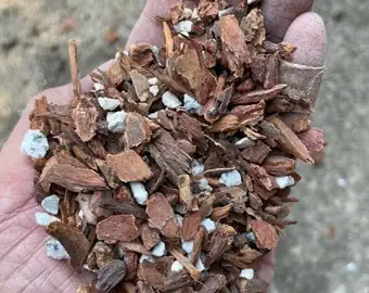 oncidium repotting bark mix