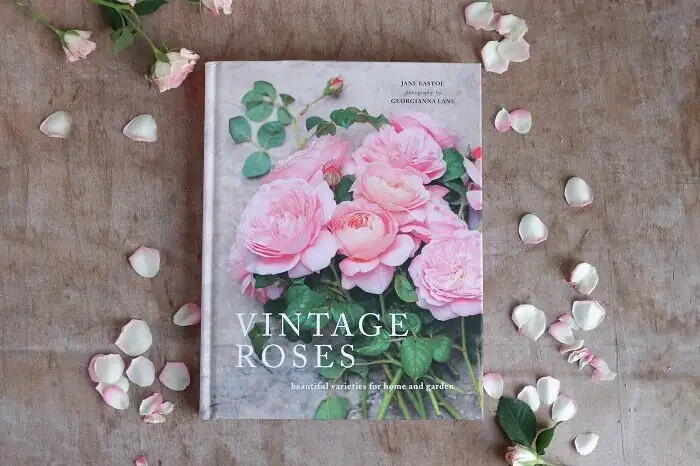 freesia bouquet vintage table books