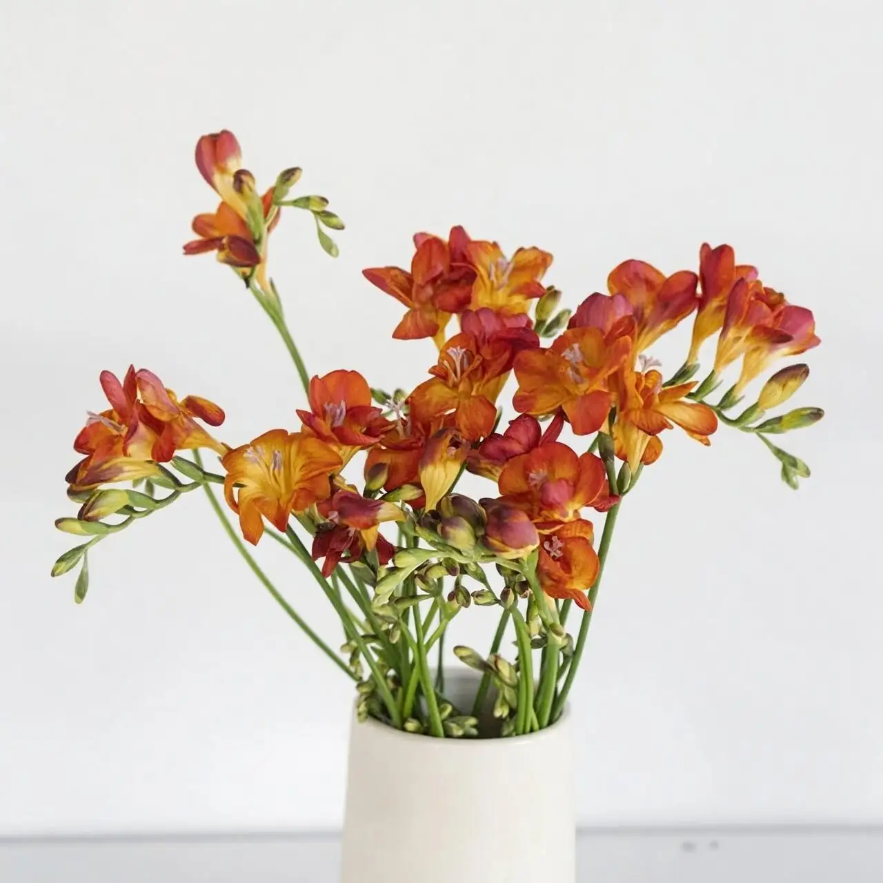 red freesia elegant bouquet vase