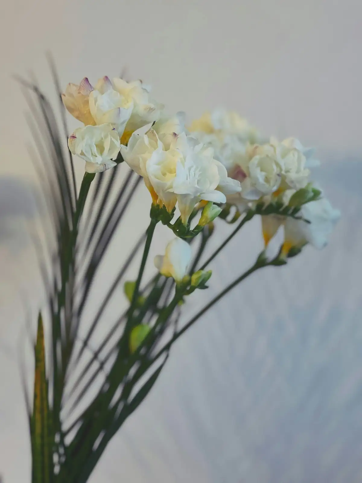 freesia clear glass vase