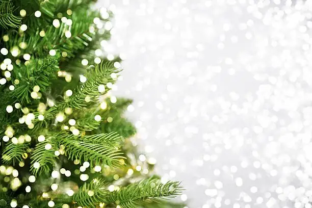 ardisia crenata Christmas wreath lights