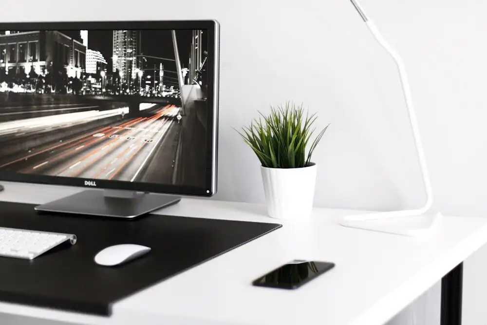 ardisia crenata grow light setup desk